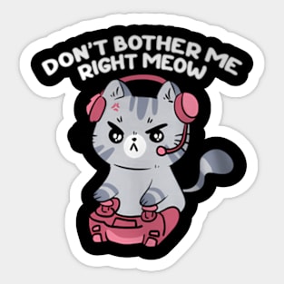 Bother Me Right , Video and Cat Sticker